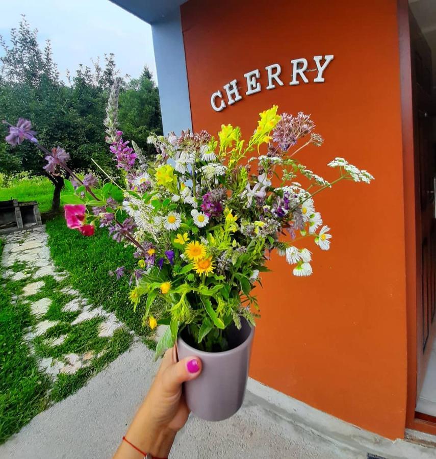 Apartman Cherry Gradac วาลเยโว ภายนอก รูปภาพ
